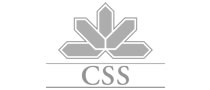 logo_css